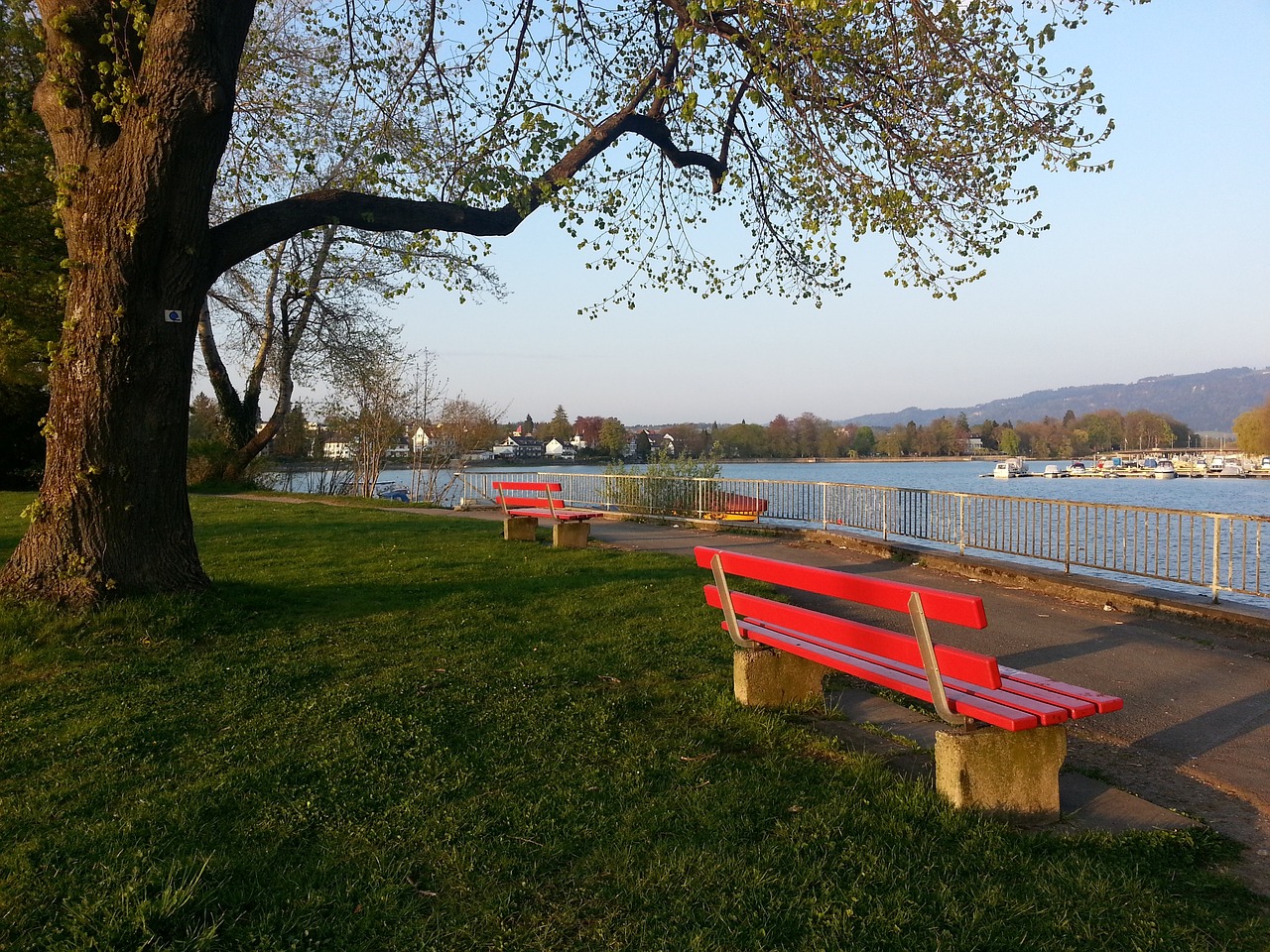 恒大足校不给青训球员合同文本与自由身？舆论与真相的距离叫认知.