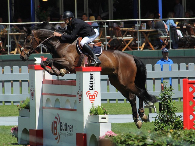 开云：欧国联A级组：以色列以1比4 不敌法国.